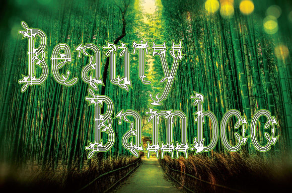 Beauty Bamboo: The Elegant Display Font for Memorable Branding